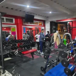 Elite Brother's Gym