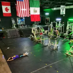 World Fitness TLX