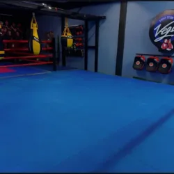 VEGA FIGHT CLUB