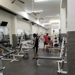 King Gym