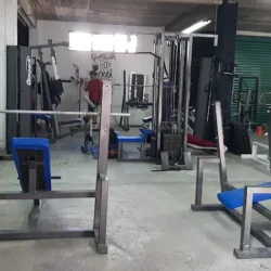 GYM GORILA