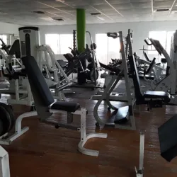 Chapos GYM