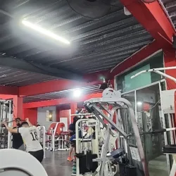Chepos Gym escobedo