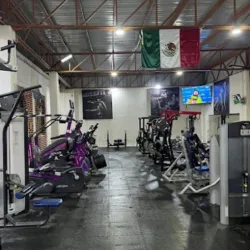 LC Fitness Gym