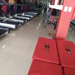 MR. GYM