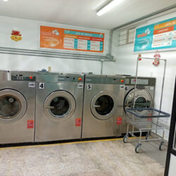 Enolav 13 Poniente