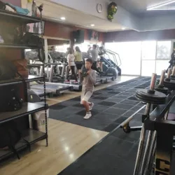 GOLD FITNESS