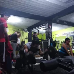 ARNOLD GYM
