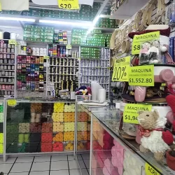 Merceria morelia