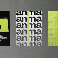 Anima Studio - Estudio de Diseño Gráfico