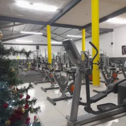 Gym Coloso