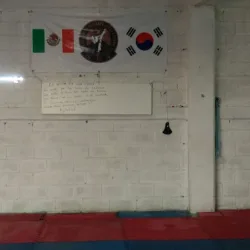 Taekwondo San Juan legión Chalco