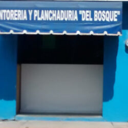 Tintorería del bosque