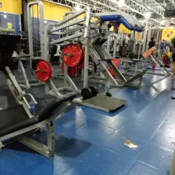 Gym Sport Live