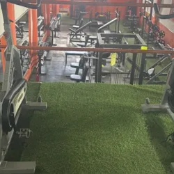 Platinum Gym