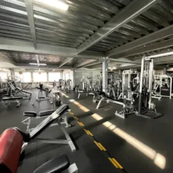 MSC GYM
