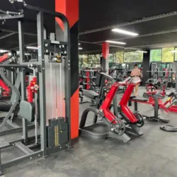 On Fitness