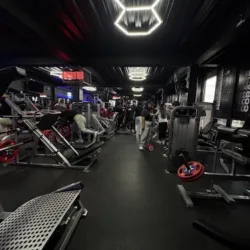 Iron Gym & Training