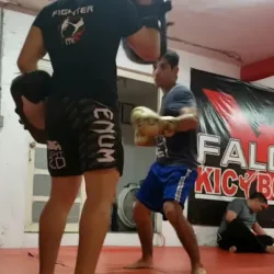 Falcon kickboxing