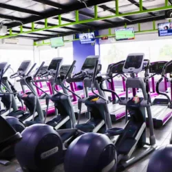 Power Factor Gym