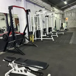 Dragon Gym