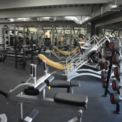 Symmetry Gym