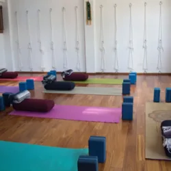 Shaktany yoga studio