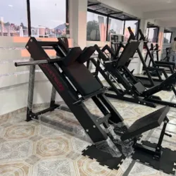 Balance y entrenamiento GYM