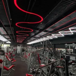 XCALIBUR GYM
