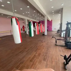 Lion´s boxing