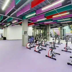 Anytime Fitness Jardines de Las Animas
