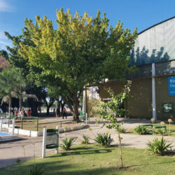 Club Atlético Ducilo