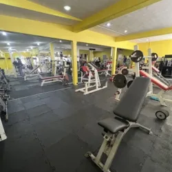 Olympus Gym