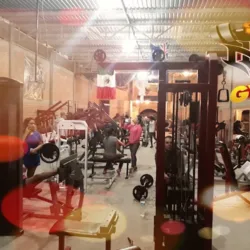 Mv Gym