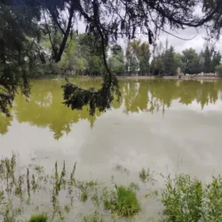 Unidad Deportiva "Ojo De Agua"