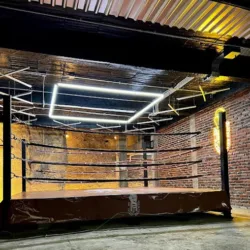 The Palace Boxing Mexico