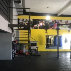 Boxeo Mexicano