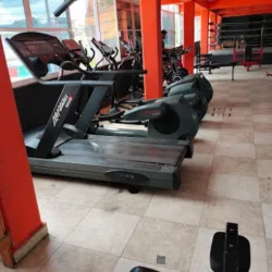 Guerreros GYM