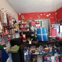 Papelería y novedades Lau