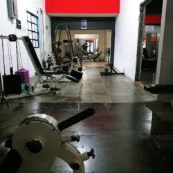 Gym Evolution