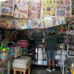 ARTICULOS DE PAPELERERIA Y MERCERIA "FLORES"