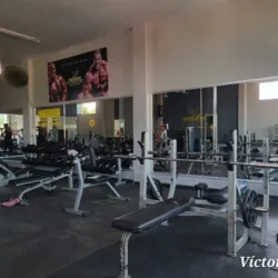 Gimnasio Seven Force