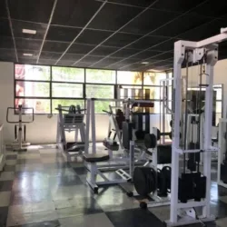 Root's GYM