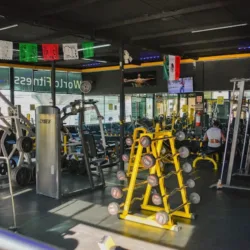 World Fitness