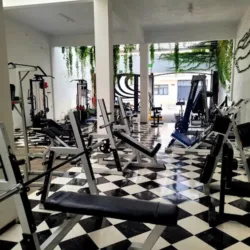 Steel fitness