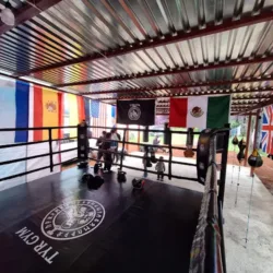 Boxing TYR GYM