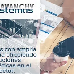 Luis Lavanchy Sistemas