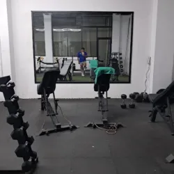 Strong Bee's Gym
