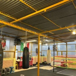 Amaya Boxing Club