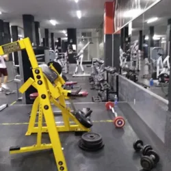 The Force Gym